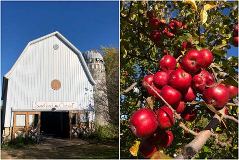 Sweetland Orchard Webster Minnesota Minnevangelist