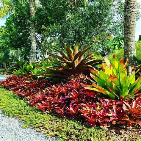 undefined | Tropical landscaping, Tropical garden design, Tropical backyard landscaping