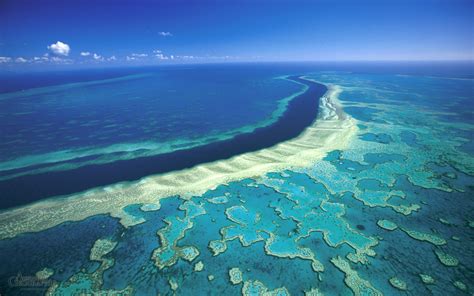 Photo Of The Week The Great Barrier Reef The Shift