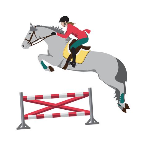 Illustrated Guide To Horse Jumping Explained Allpony Horse Jumping