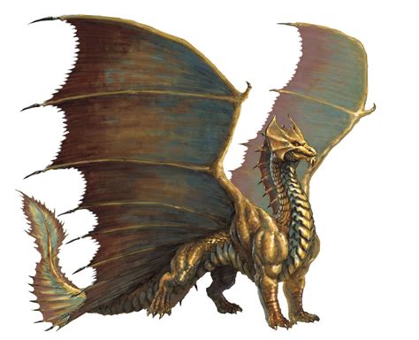 Azures Gold Dragons Are Shaped More Like The Brass Dragon From The D
