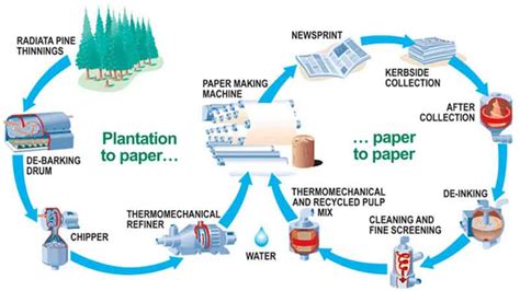 Pulp And Paper Manufacturing Processes In Papermaking Industry