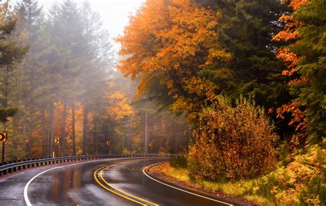 Drive In The Autumn Rain A Rainy Drive Through Mt Hood Na Flickr