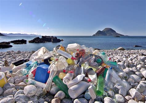 Plastik şişe kirliliğine maddede çözüm Sıfır atık Yeşilist Herkes için yeşil