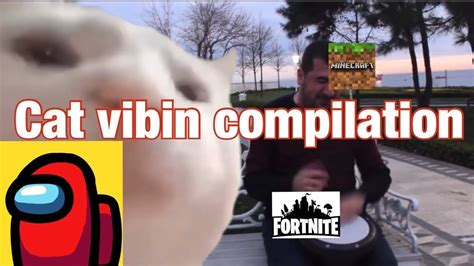 Cat Vibin To Levan Polkka Meme Compilation Youtube