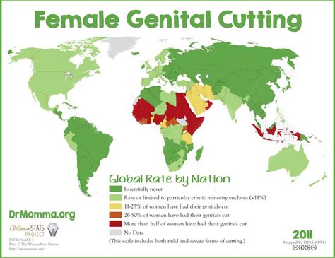 Peaceful Parenting History Of Female Circumcision In The United States