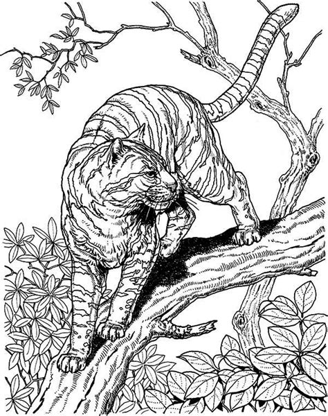 Enjoy these free coloring pages to color and paint for kids of all ages: A Tiger Liked Wild Cat In The Wild Coloring Page ...