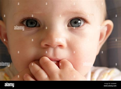 Face Of Baby Girl Sucking Fingers Stock Photo Alamy