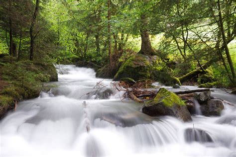 Free Images Nature Forest Waterfall Creek Roof River Mystical