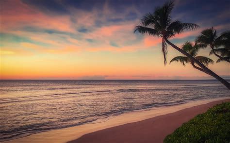 Download Beach Sunset Ocean Coast Wallpaper 1680x1050