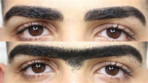 Grow Your Eyebrows Fast Thick Natural