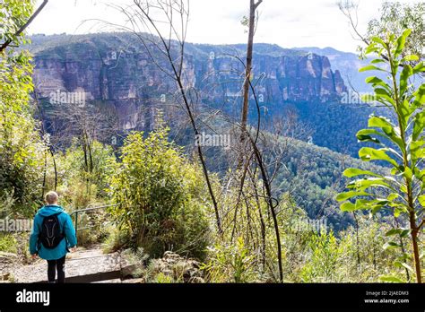 Blue Mountains Australia Female Woman Hiking On Cliff Top Track In The