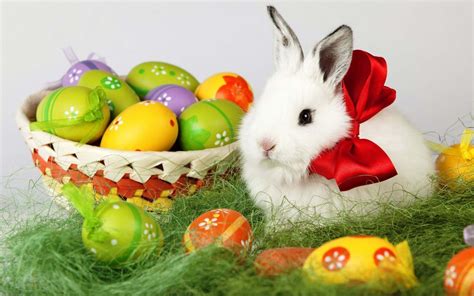 Easter Bunny Wallpapers Wallpaper Cave
