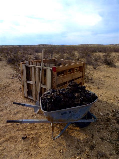 The Field Lab Poop Harvest