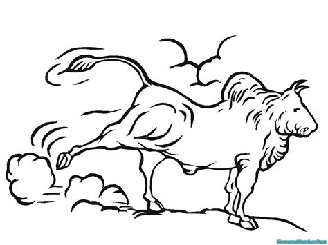 Banteng liar dijinakkan / hewan liar april 2013 / kalau di bali, banteng ini berhasil didomestifikasi, disilangkan dengan sapi. Mewarnai Gambar Banteng | Mewarnai Gambar