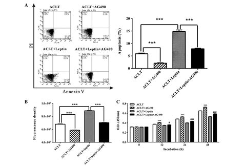 leptin induces the apoptosis of chondrocytes in an in vitro model of osteoarthritis via the jak2