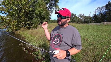 Basic Bank Fishing Rods And Reels Youtube