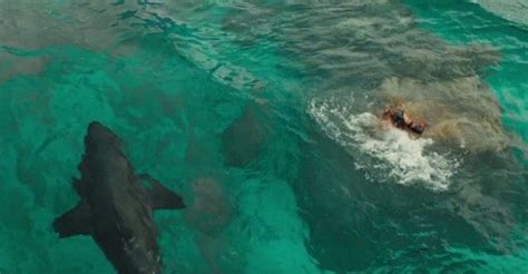 The Shallows Trailer Blake Lively May Be A Sharks Lunch Collider