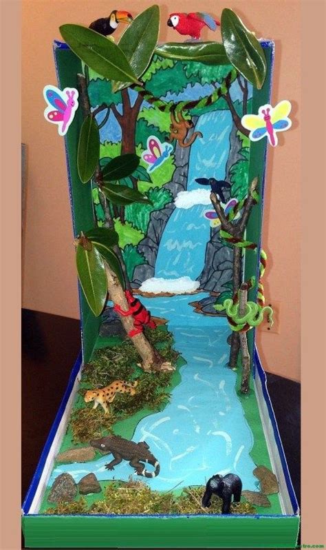 Ecosistema La Selva School Projects Projects For Kids Art Projects