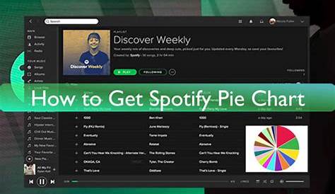 what is the spotify pie chart