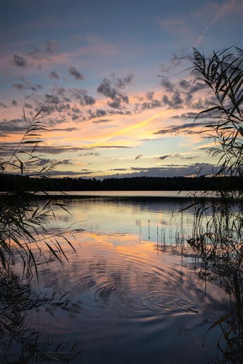 Sonnenuntergang Am See Mit Frosch Foto And Bild Landschaft Bach Fluss And See See Teich