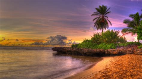 Download Wallpaper 2560x1440 Palm Trees Coast Tropics Sand Beach