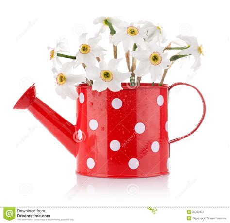 Fioraio bianchi caffè è anche un laboratorio floreale. Fiori Bianchi Della Sorgente In Vaso Rosso Immagine Stock ...