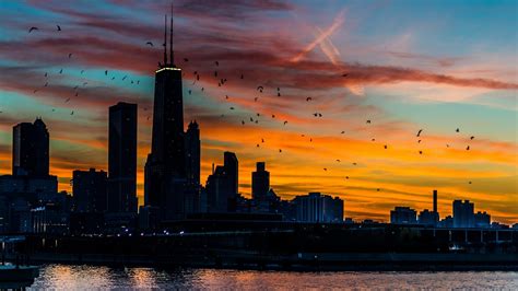Cityscape At Night Cityscape Building Sunset Chicago Hd Wallpaper