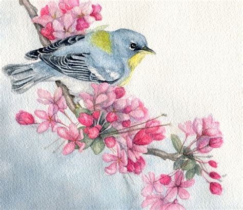 Original Watercolor Bird Painting Northern Parula Warbler Etsy In