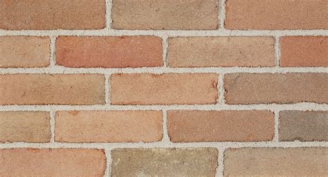 Ny Tan Face Brick Belden Tri State Building Materials