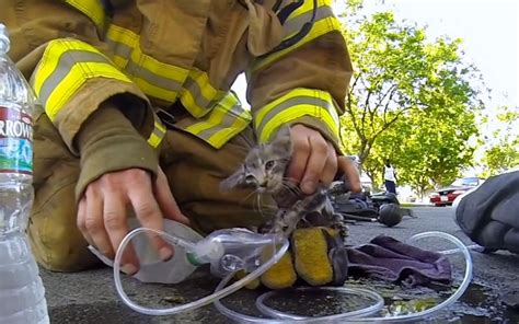 Try Not To Tear Up Watching Firefighter Rescuing Kitten From Burning