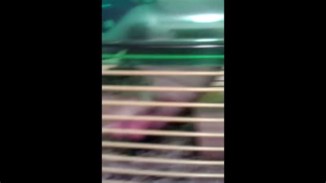 Hamster Fart Youtube