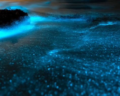Bioluminescent Bay Puerto Rico 3 Brightest Spots To See 2022