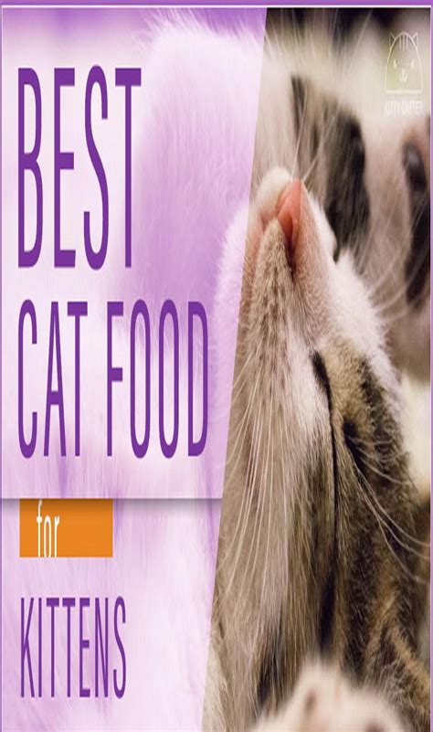 In this post we will review the best cat foods for kittens and compare their advantages to other food for young cats and food for grown cats. Best Kitten Food | Cat Guides | Kitten food, Kitten, Cat food
