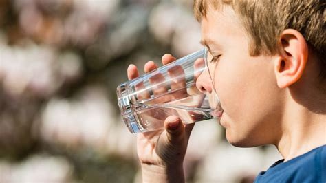 Trinkwasser Lebenswichtiges Wasser Wissen SWR Kindernetz