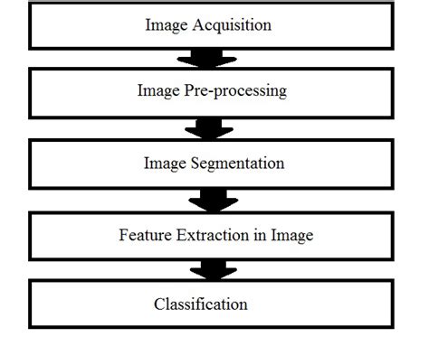 Basic Steps Of Image Processing Techniques Download Scientific Diagram