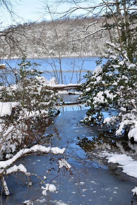 First Snowfall Of Winter At Burke Lake Virginia Stock Photo Image Of