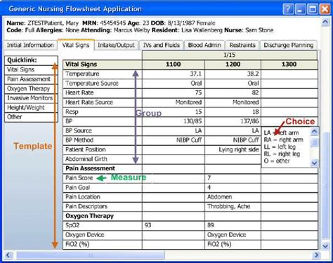 Vital Signs Flow Sheet