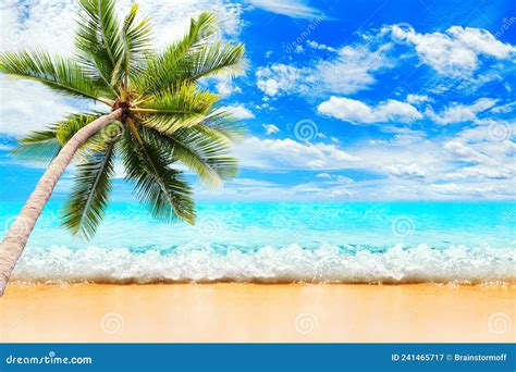 Tropical Island Sea Beach Landscape Green Coconut Palm Tree Leaves Turquoise Ocean Water Wave