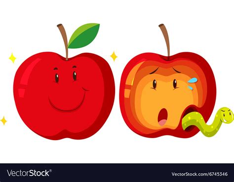 Fresh Apple And Rotten Apple Royalty Free Vector Image