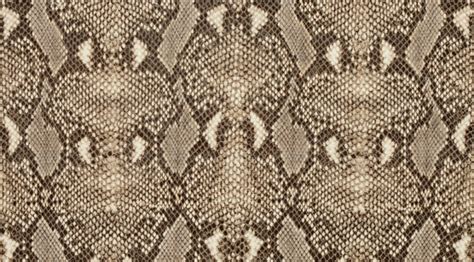 Textured Background Of Genuine Leather In Python Skin Pattern Stock
