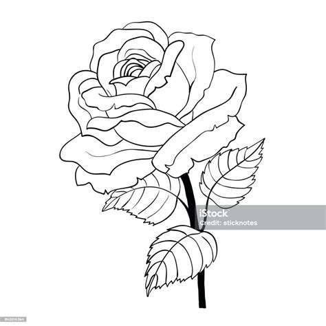 Rose Cartoon Style On White Background Stock Illustration Download