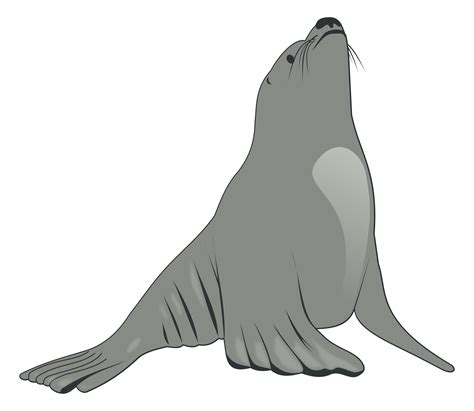 Free Sea Lion Clipart Download Free Sea Lion Clipart Png Images Free