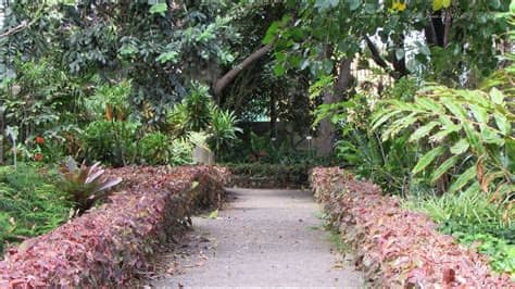 See more of jardín botánico puerto de la cruz on facebook. Jardin Botánico Puerto de la Cruz - YouTube