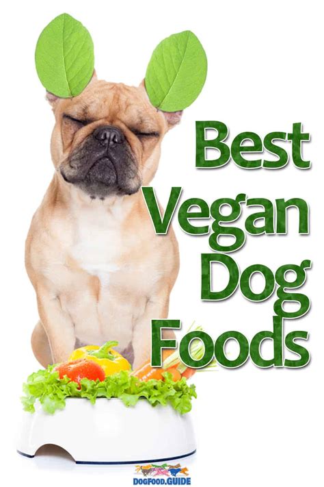 The Best Vegan Dog Food Brands 2023 Review And Buyers Guide