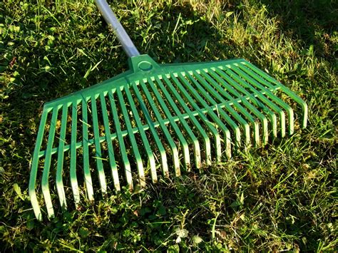 Learn How To Use A Dethatching Rake To Make Your Lawn Look Swish