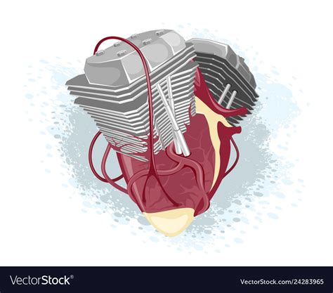 Anatomical Heart And Motor Royalty Free Vector Image