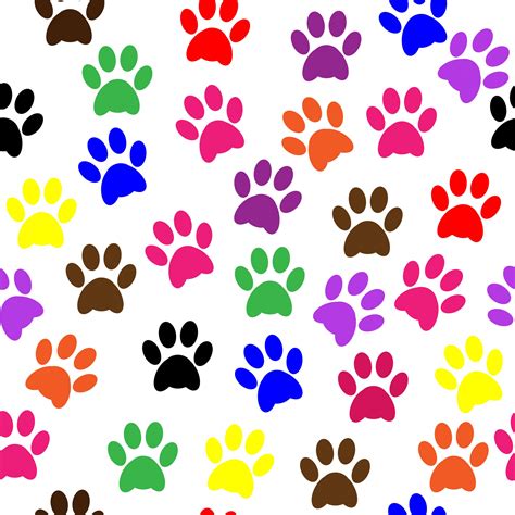 Paw Prints Colorful Wallpaper Free Stock Photo Public Domain Pictures
