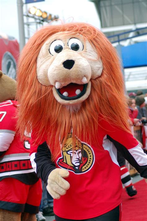 Information about ottawa senators, a professional team from ottawa, quebec, including website, logos and social media links. Spartacat - Ottawa Senators mascot | NHL Mascots | Pinterest | Ottawa