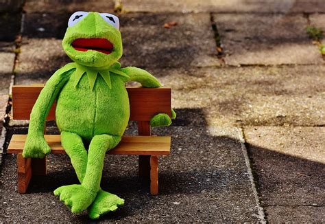 Hd Wallpaper Kermit Frog Drink Alcohol Drunk Rest Sit Figure